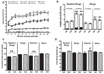 Binge-Like Eating Is Not Influenced by the Murine Model of OPRM1 A118G Polymorphism